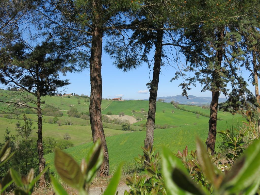 Agriturismo Il Palagetto Pomarance Exteriör bild