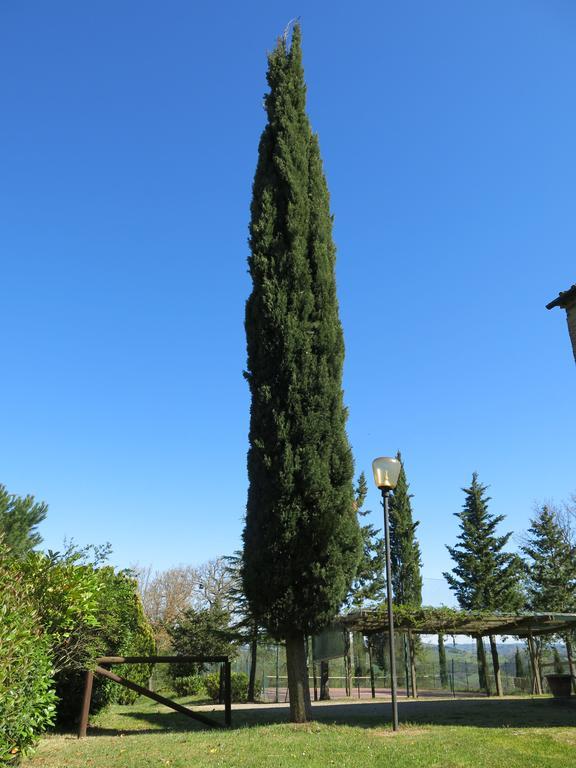 Agriturismo Il Palagetto Pomarance Exteriör bild