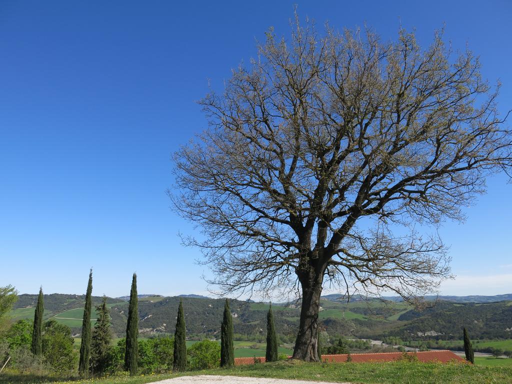 Agriturismo Il Palagetto Pomarance Exteriör bild